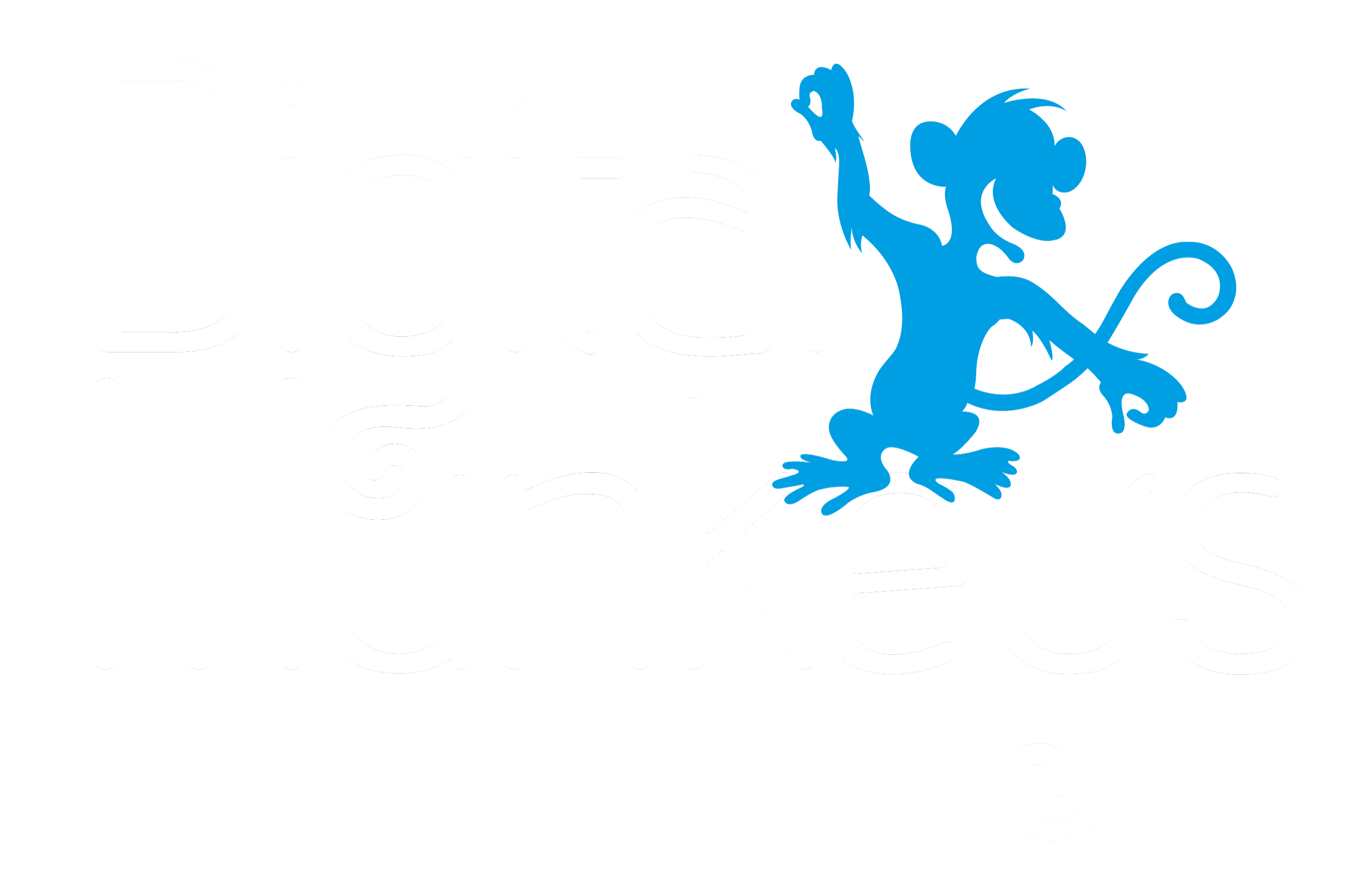 Digital Munkeys Installations Ltd